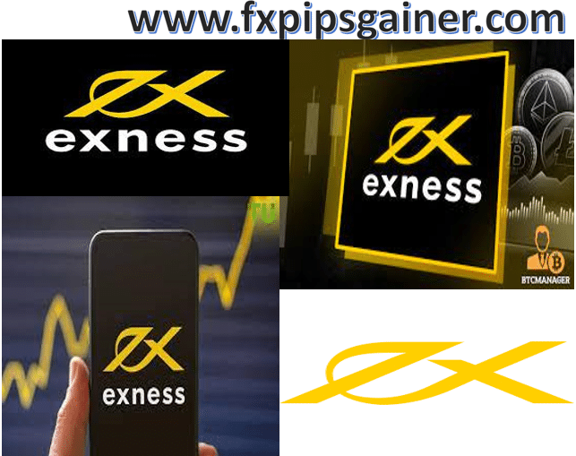 Comprehensive Guide to Your Exness Trading Account Comprehensive Guide to Your Exness Trading Account