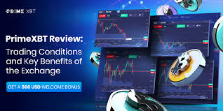 Exploring PrimeXBT The Premier Trading Platform in Turkey Exploring PrimeXBT The Premier Trading Platform in Turkey
